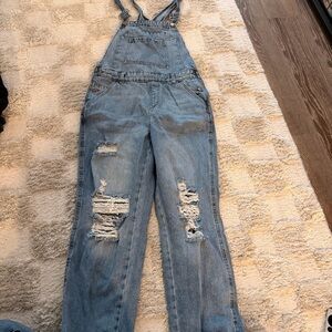 Wild Fable Blue Denim Distressed Jumpsuit